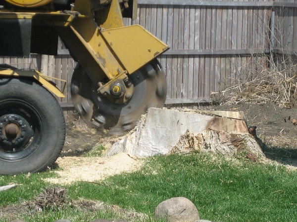 Medina Stump Grinding business image in Medina, Ohio