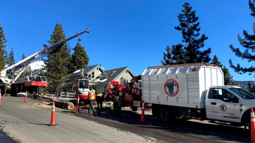Jeremiah's Tree Service business image in Reno, nevada